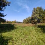 Działki Sanoczek 13 i 10 arow – BLISKO SANOKA